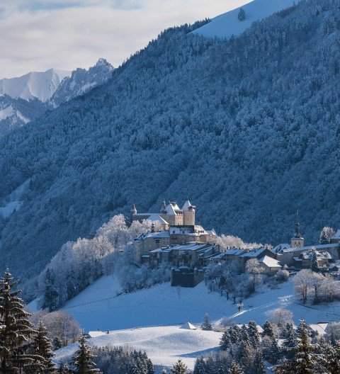 Hôtel de Gruyères